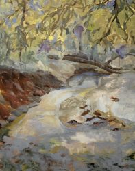 Oaks over the Creek