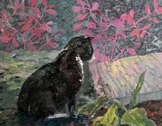 Black Cat in Vermont Garden – SOLD