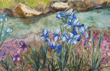 Julie’s Irises along Immel Creek – SOLD