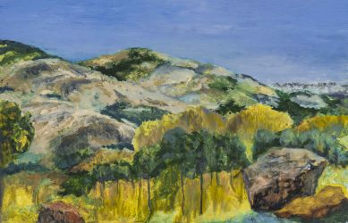 Boulders and Hills