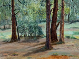 The Meadow