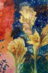 Canna Lilies
