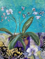 Orchid Blooms