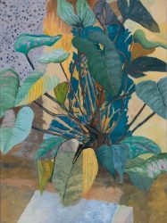 Anthurium Still Life