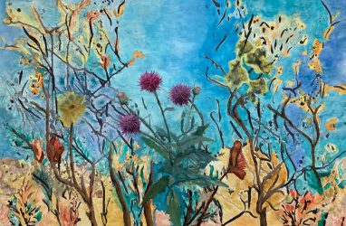 Texas Thistle