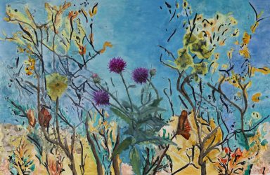 Texas Thistle