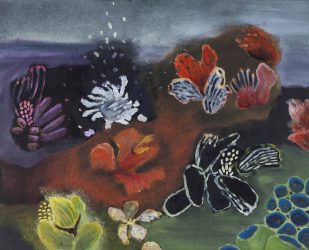 Coral Garden