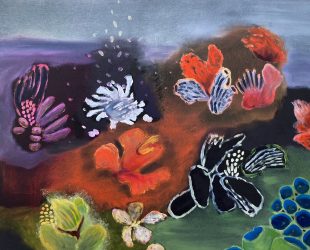 Coral Garden