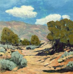Landscape 115, Arroyo Spring Afternoon