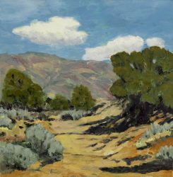Landscape 115, Arroyo Spring Afternoon