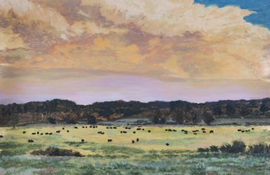 Bosque County, TX