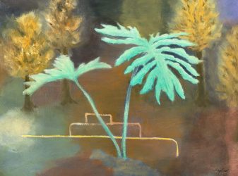Philodendron 2