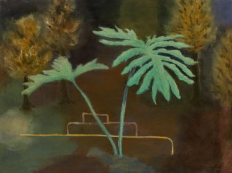 Philodendron 2