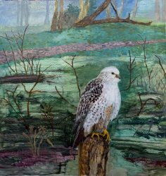 Bird of Prey