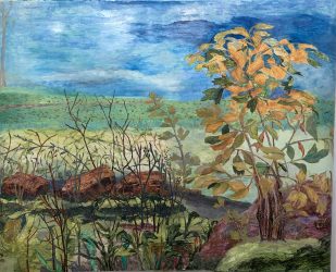 Brambles and Boulders